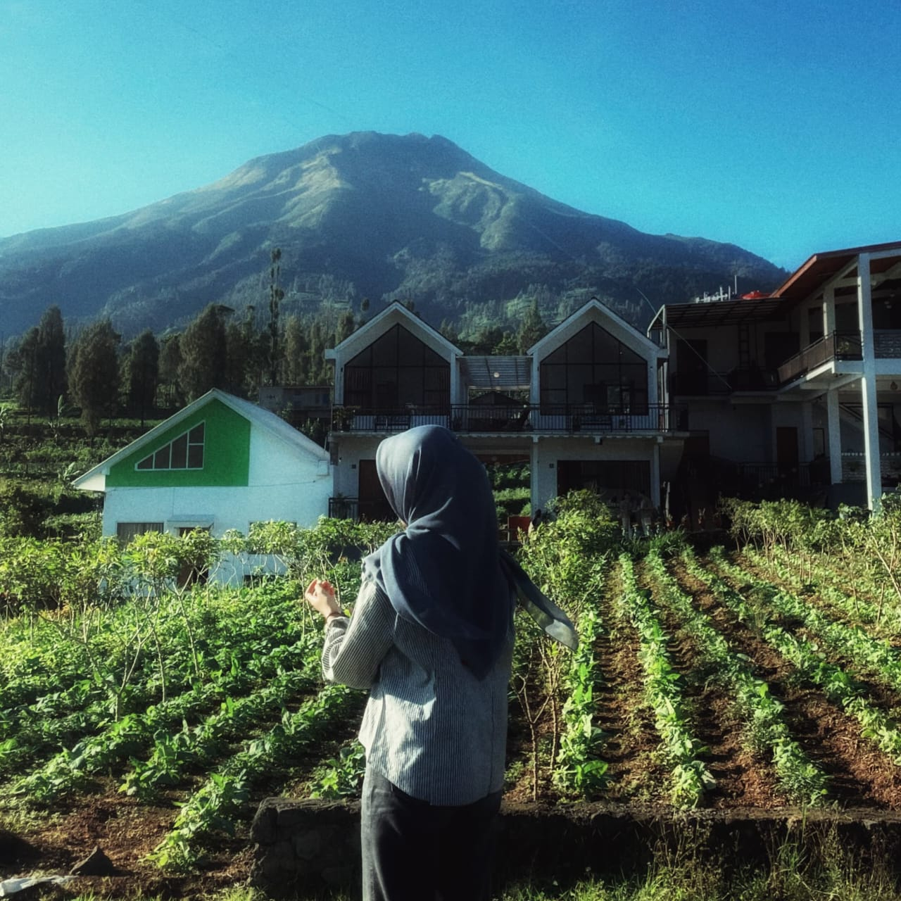 Sindoro Ramai, Warga Untung, Alam Tetap Dijaga